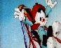 Picture Of Wakko